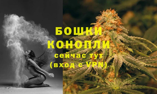 PSILOCYBIN Арсеньев