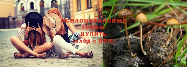 скорость Аркадак