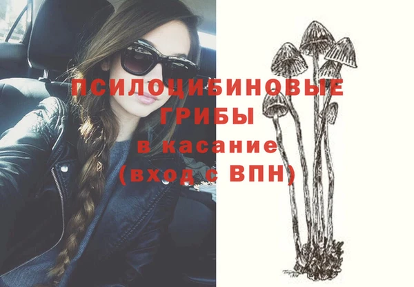 PSILOCYBIN Арсеньев