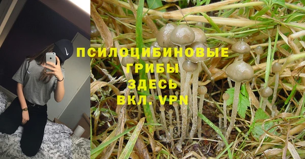 mdpv Армянск