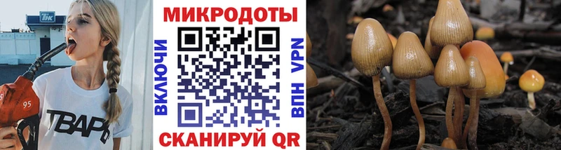 блэк спрут рабочий сайт  Свирск  Галлюциногенные грибы Cubensis  наркота 